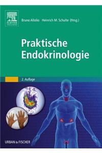 Praktische Endokrinologie