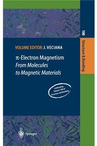 π-Electron Magnetism