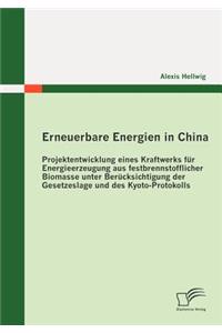 Erneuerbare Energien in China: Projektentwicklung eines Kraftwerks für Energieerzeugung aus festbrennstofflicher Biomasse unter Berücksichtigung der Gesetzeslage und des Kyoto-Pro