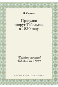 Walking Around Tobolsk in 1830