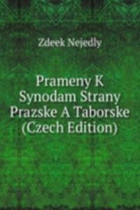Prameny K Synodam Strany Prazske A Taborske (Czech Edition)