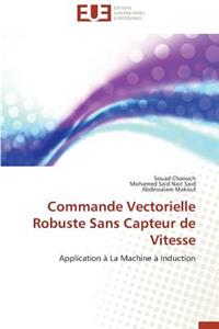 Commande Vectorielle Robuste Sans Capteur de Vitesse