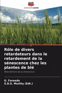 Rôle de divers retardateurs dans le retardement de la sénescence chez les plantes de blé