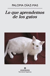 Lo que aprendemos de los gatos