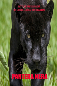 Pantera Nera