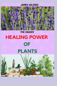 The Hidden HEALING POWER OF PLANTS