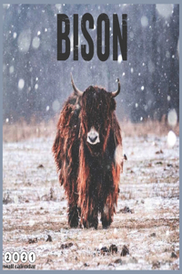 Bison 2021 Wall Calendar