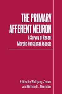 Primary Afferent Neuron