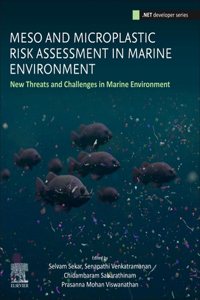 Meso- And Microplastic Risk Assessment in Marine Environments