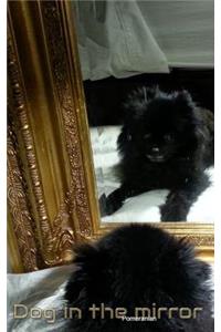 Dog in the Mirror Pomeranian