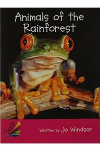 Animals of the Rainforest