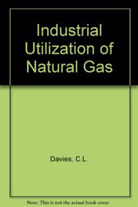 Industrial Utilization of Natural Gas