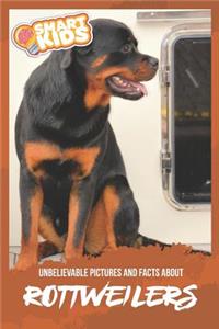 Unbelievable Pictures and Facts About Rottweilers