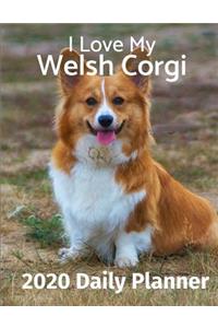 I Love My Welsh Corgi