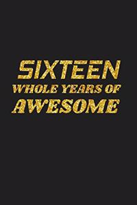 Sixteen Whole Years Of Awesome