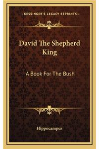 David the Shepherd King
