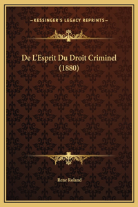 De L'Esprit Du Droit Criminel (1880)