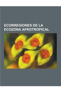 Ecorregiones de la Ecozona Afrotropical