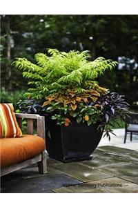 The Great Companion of the Prophet Abu Dharr