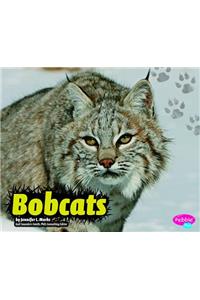 Bobcats