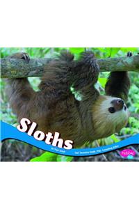 Sloths