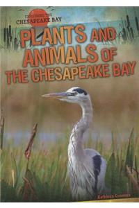 Plants and Animals of the Chesapeake Bay