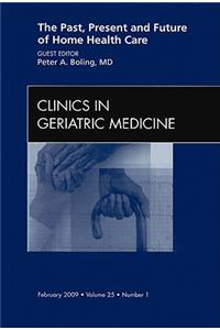 Past, Present, and Future of Home Health Care, an Issue of Clinics in Geriatric Medicine