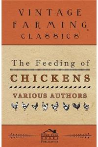 The Feeding Of Chickens