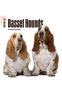 Basset Hounds 2018 Calendar