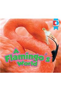 Flamingo's World