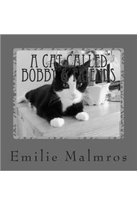 Cat Called Bobby & Friends