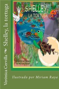 Shelley, la tortuga