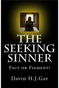 Seeking Sinner