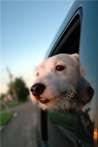 Puppy Dog Car Ride Journal