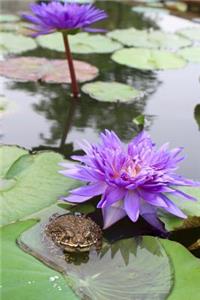 Purple Water Lily with a Toad Journal