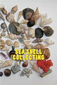 Sea Shell Collecting