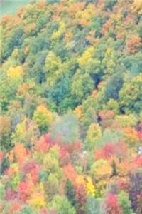 Journal Fall Foliage Mountain View