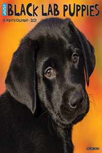 Just Black Lab Puppies 2021 Wall Calendar (Dog Breed Calendar)