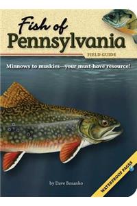 Fish of Pennsylvania Field Guide