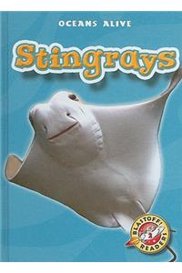 Stingrays