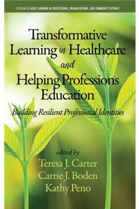 Transformative Learning in Healthcare and Helping Professions Education