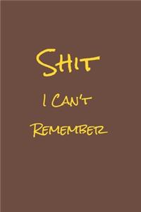 Shit I Can't Remember