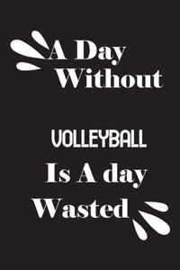 A day without volleyball is a day wasted