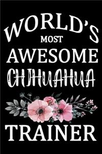 World's Most Awesome Chihuahua Trainer