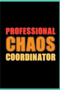 Professional Chaos Coordinator