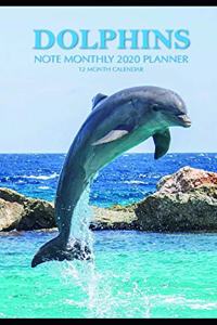 Dolphins Note Monthly 2020 Planner 12 Month Calendar