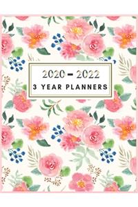 3 Year Planners