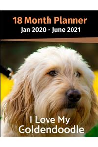 Jan 2020 - June 2021 18 Month Planner