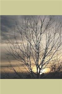 Working 2020 Like A BOSS