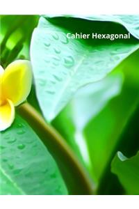 Cahier Hexagonal